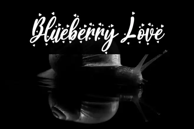 Blueberry Love Font examples