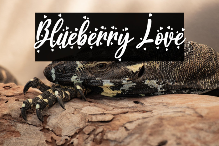 Blueberry Love Example 3