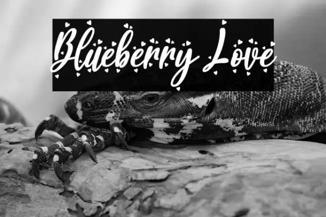 Blueberry Love Font examples