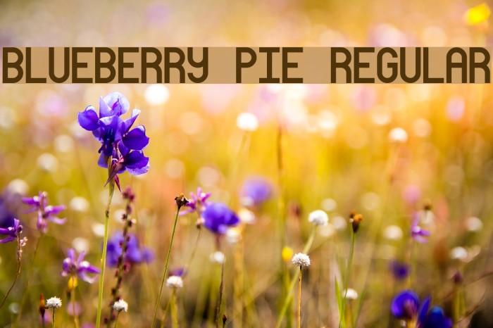 Blueberry Pie Regular Font examples