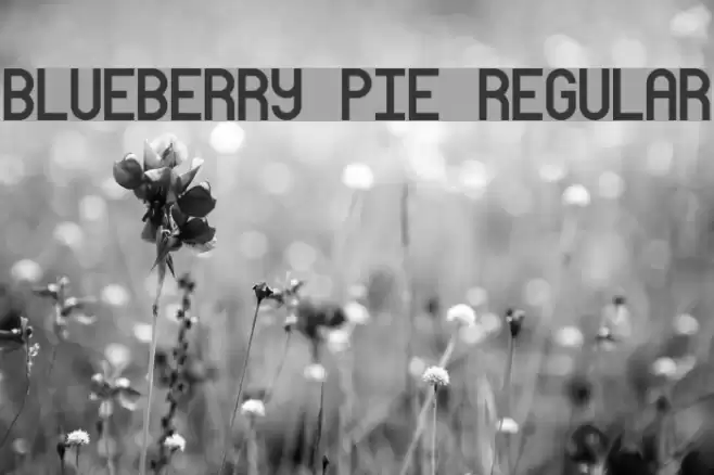 Blueberry Pie Regular Fonte examples
