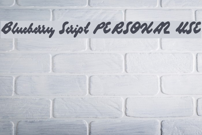 Blueberry Script PERSONAL USE Example 1