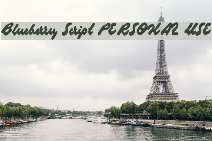 Blueberry Script PERSONAL USE Example 2