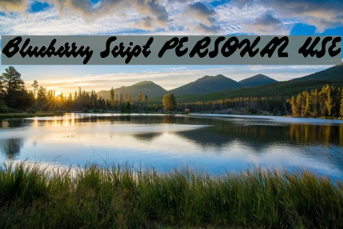 Blueberry Script PERSONAL USE Example 3