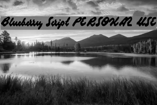 Blueberry Script PERSONAL USE Font examples