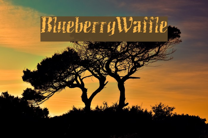 BlueberryWaffle Font examples