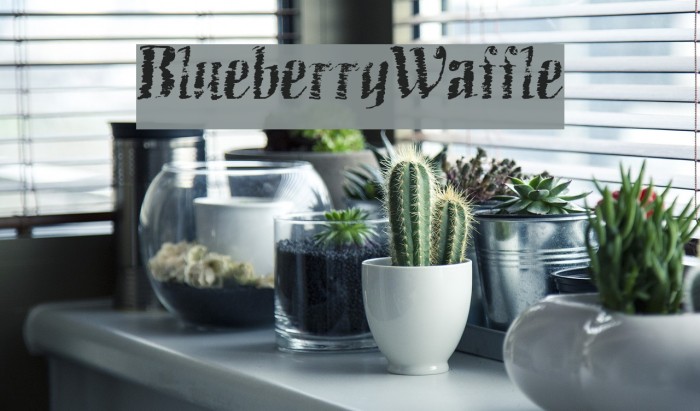 BlueberryWaffle Font examples