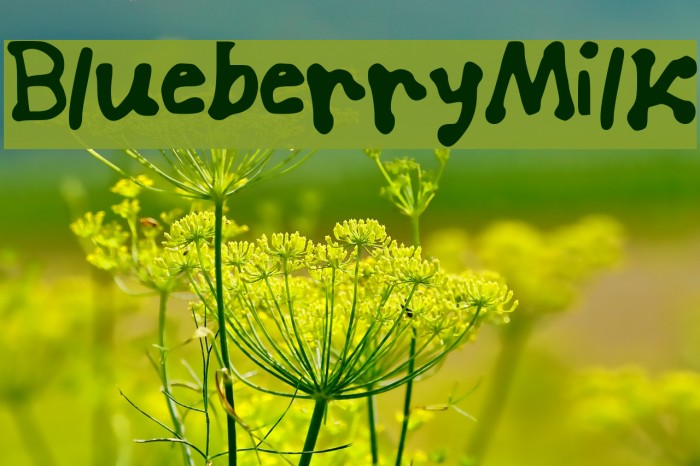 Blueberry_Milk Font examples