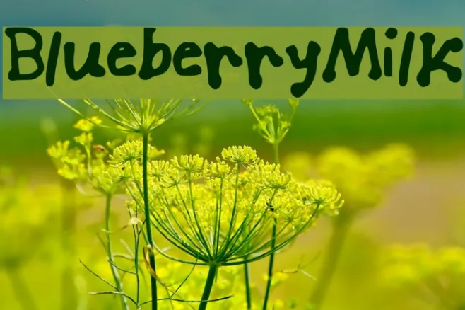 Blueberry_Milk Example 1