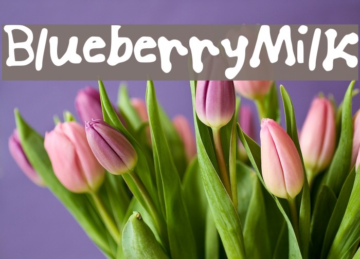 Blueberry_Milk Font examples