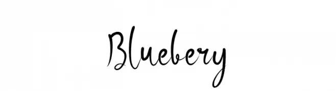 Bluebery  Скачать бесплатные шрифты