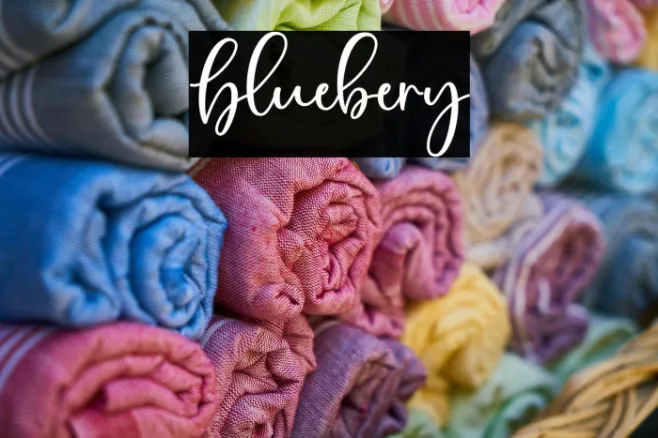 Bluebery Example 1