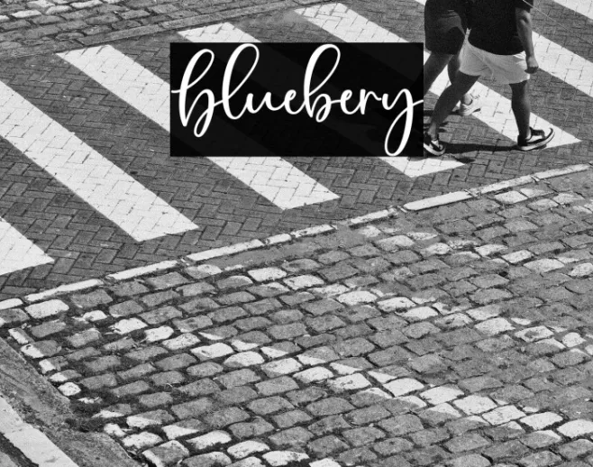 Bluebery Example 2