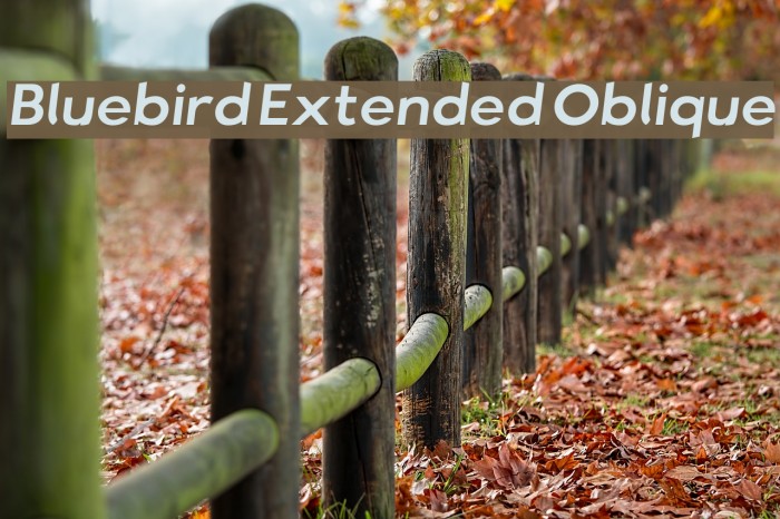Bluebird Extended Oblique Font examples