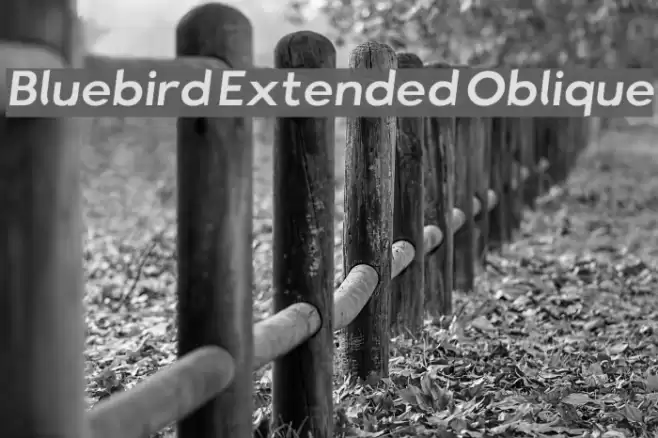 Bluebird Extended Oblique  examples