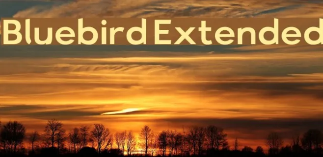 Bluebird Extended Example 1
