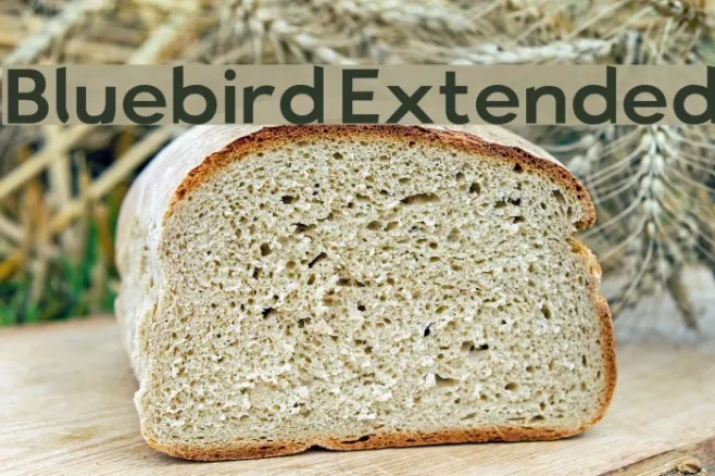 Bluebird Extended Example 3