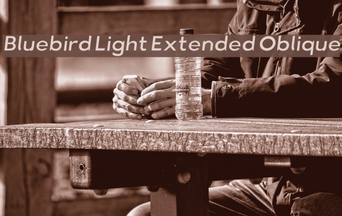 Bluebird Light Extended Oblique Font examples