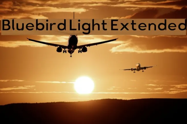 Bluebird Light Extended Example 1