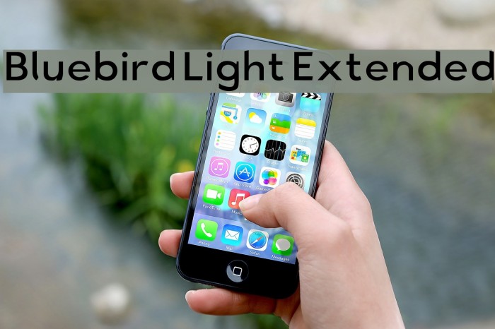 Bluebird Light Extended Font examples
