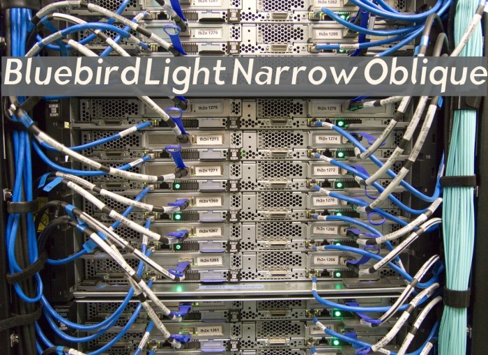Bluebird Light Narrow Oblique Font examples