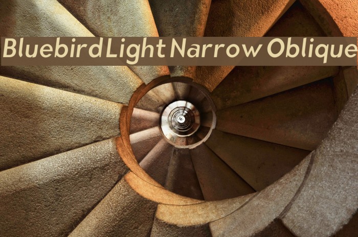 Bluebird Light Narrow Oblique Font examples