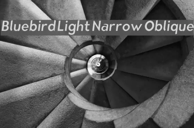 Bluebird Light Narrow Oblique  examples