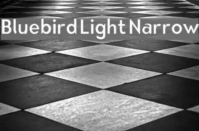 Bluebird Light Narrow Font examples