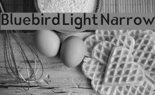 Bluebird Light Narrow Font examples