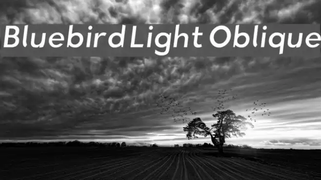 Bluebird Light Oblique  examples