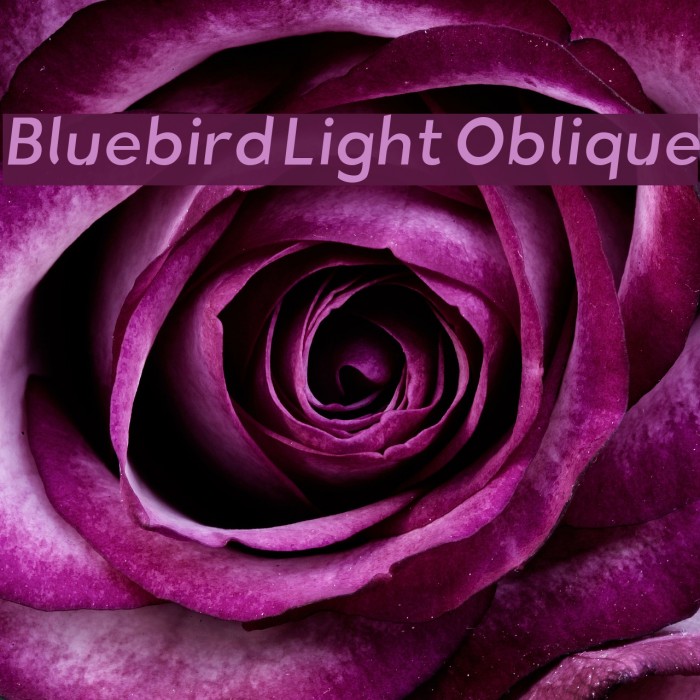 Bluebird Light Oblique Font examples