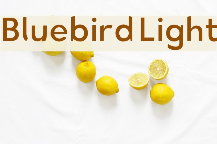 Bluebird Light Font examples