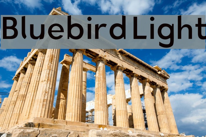Bluebird Light Font examples