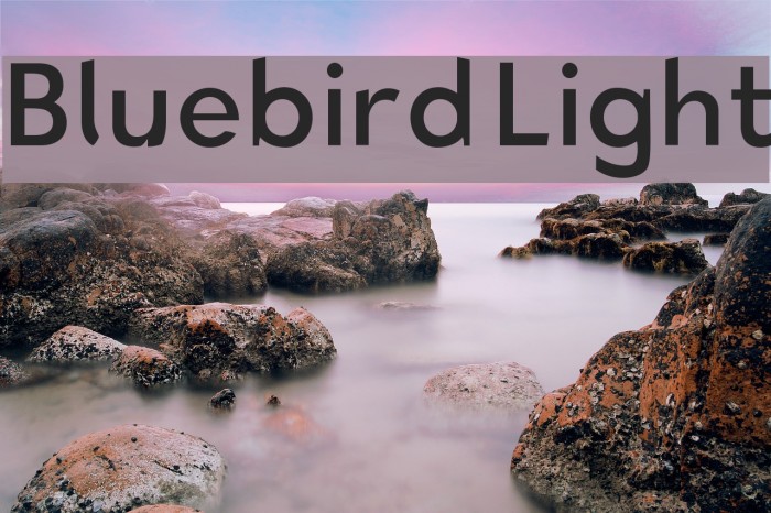 Bluebird Light Font examples