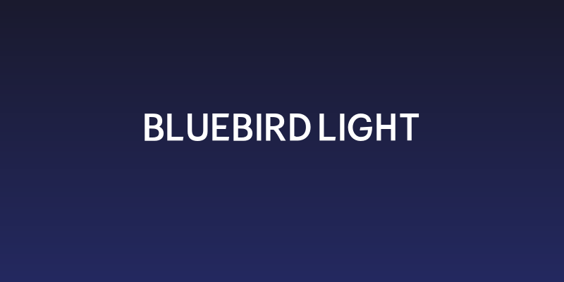 Bluebird Light Social Header