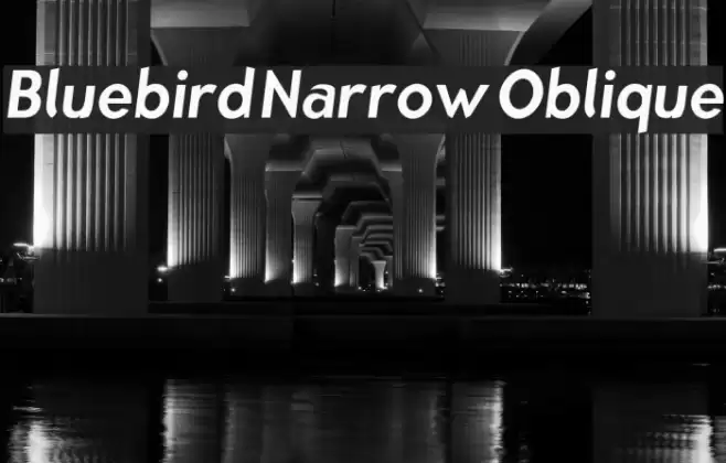 Bluebird Narrow Oblique  examples