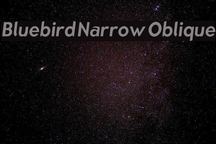 Bluebird Narrow Oblique Font examples