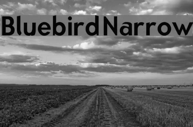 Bluebird Narrow Font examples