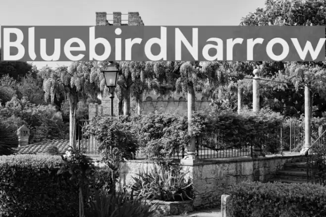 Bluebird Narrow Font examples