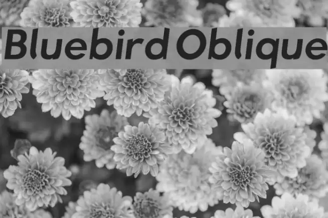 Bluebird Oblique  examples