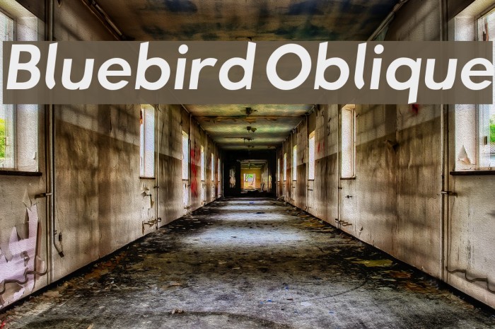 Bluebird Oblique फ़ॉन्ट examples