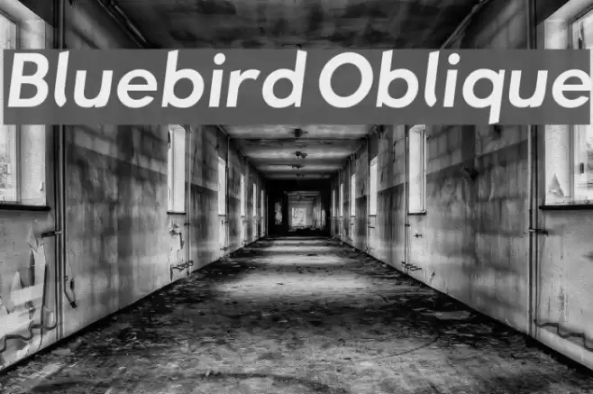Bluebird Oblique  examples