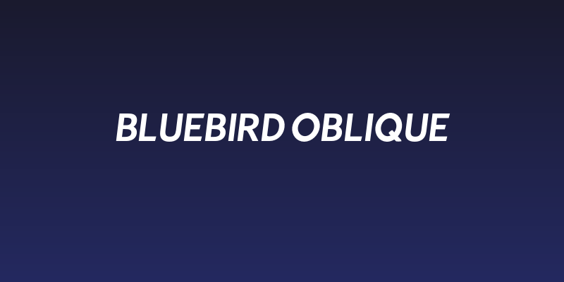 Bluebird Oblique Social Header