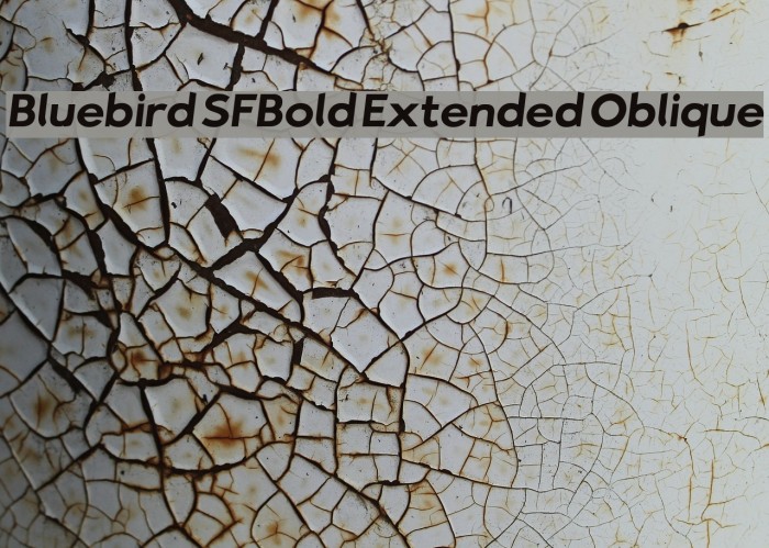 Bluebird SFBold Extended Oblique Font examples