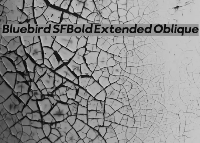 Bluebird SFBold Extended Oblique  examples