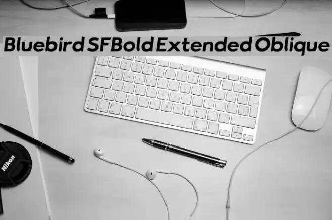 Bluebird SFBold Extended Oblique  examples