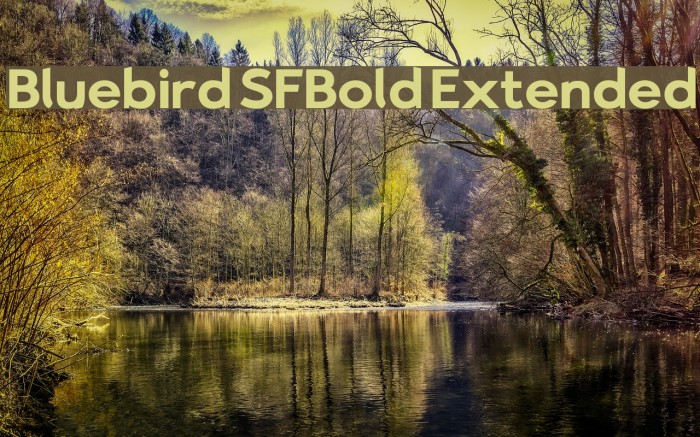 Bluebird SFBold Extended Font examples