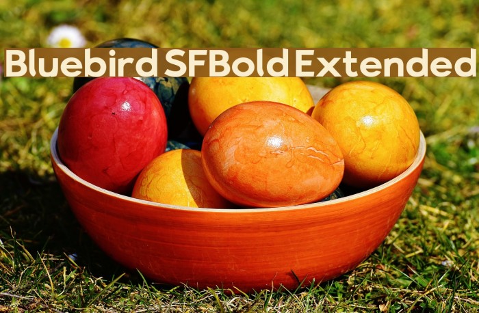 Bluebird SFBold Extended Font examples