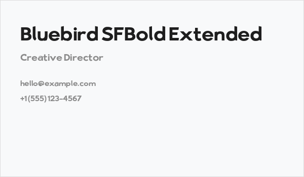 Bluebird SFBold Extended Business Card