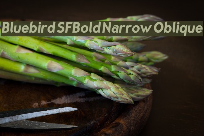 Bluebird SFBold Narrow Oblique Font examples